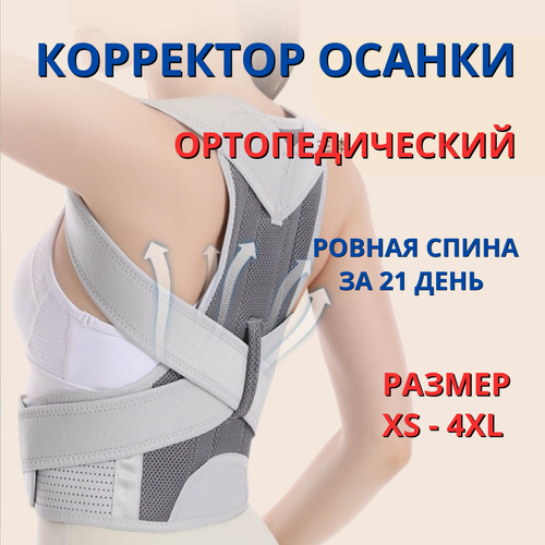 Изображение товара Корректор осанки корсет для спины реклинатор для мужчин и женщин р. XL