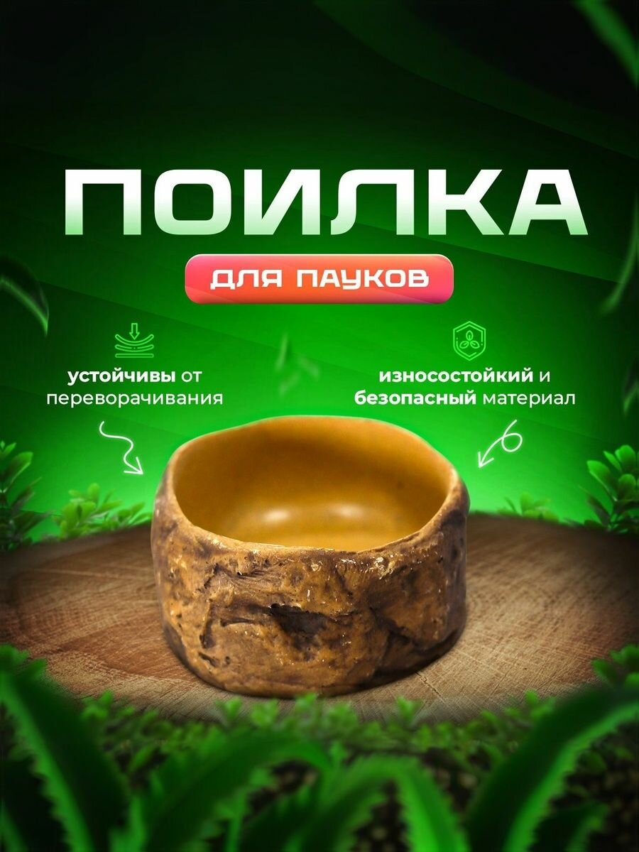 Поилка для рептилий кормушка поилка для террариума черепах змей пауков Simple Zoo 50х45х25 мм
