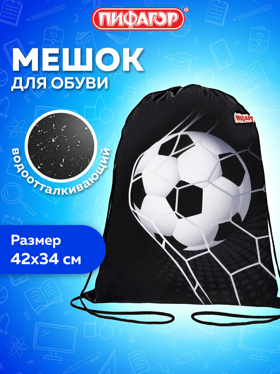 Мешок для обуви Пифагор 1 отделение 42х34 см Ball kick 272386