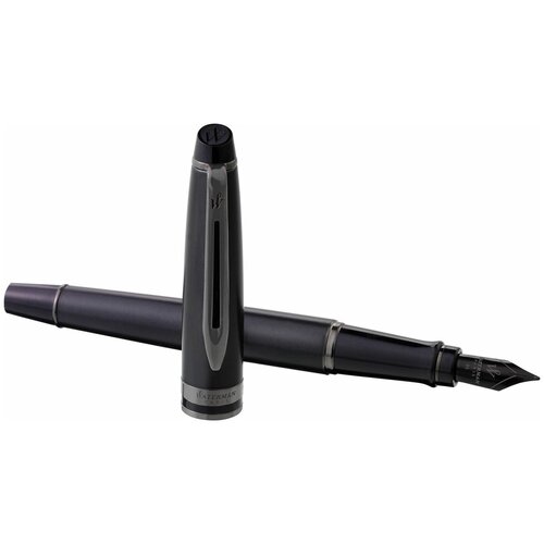 Ручка Waterman Expert DeLuxe Metallic Black RT F, 2119188, перьевая, сталь нержавеющая, LR, подарочная коробка