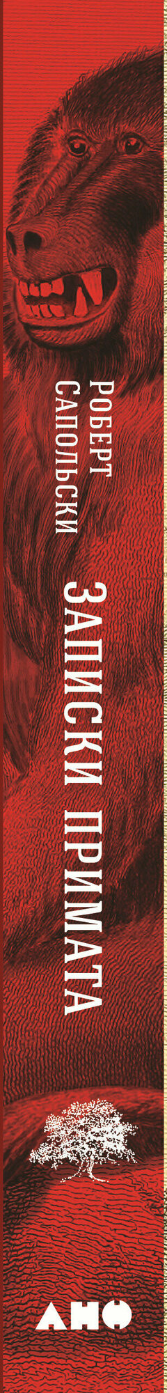 Записки примата. Необычайная жизнь ученого среди павианов - фото №9