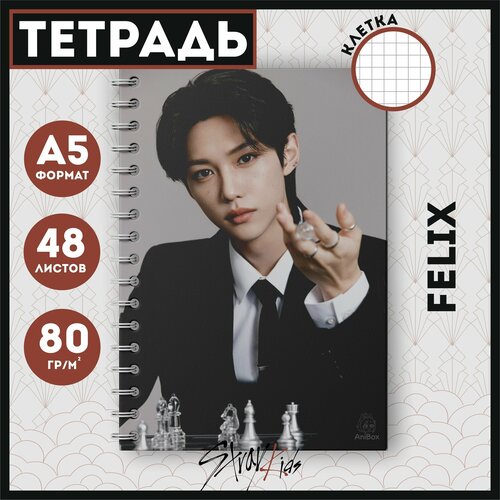 Тетрадь в клетку Stray Kids Ли Феликс, 48 листов