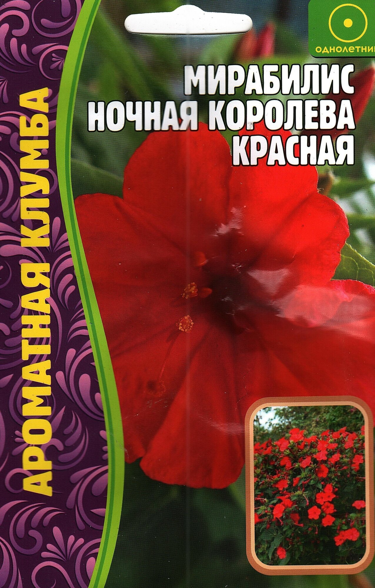 Мирабилис Ночная королева Красная, многолетник ( 1 уп: 14 семян )