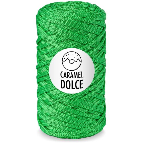 Полиэфирный шнур Caramel Dolce 4мм 100м Цвет 6424 Яблоко