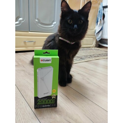 Powerbank 20000mAh Ecusin Внешний аккумулятор на 20000 мАч Повербанк 68000₽
