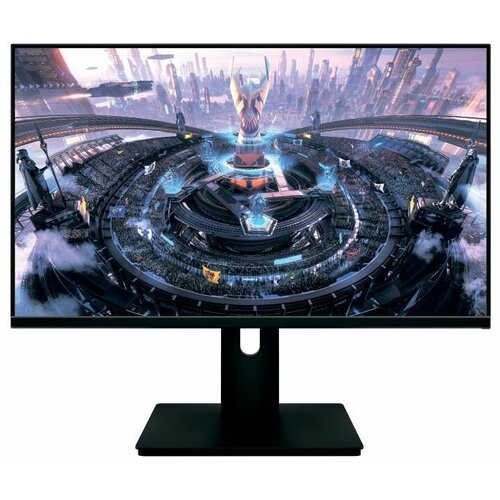 Монитор NPC MF2409-K