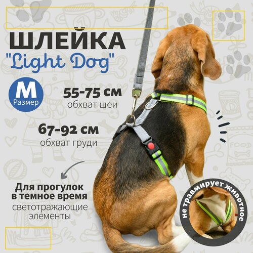 Шлейка для собак Light Dog со светоотражающими элементами, для средних и крупных пород собак. Размер L.