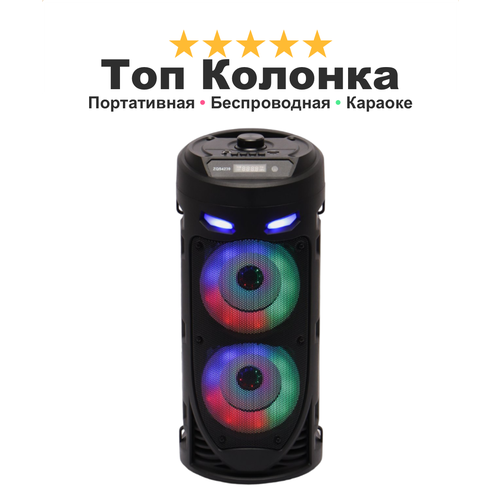 Колонка на дачу с подсветкой Party Time 4239 беспроводная портативная мощный басс радио блютуз черная 299900₽