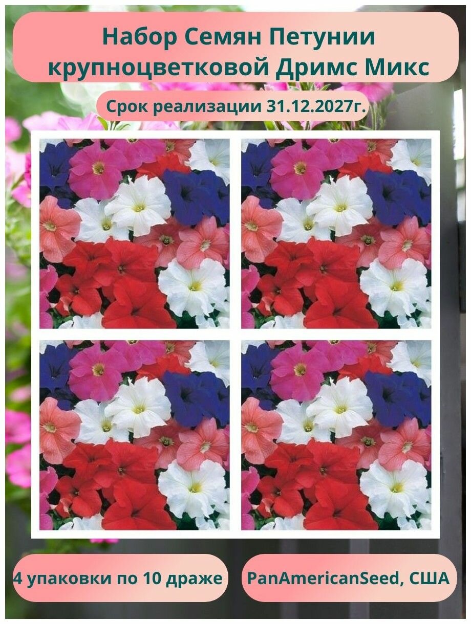 Петуния крупноцветковая Дримс Микс 4 упаковки по 10 драже PanAmerican Seed США