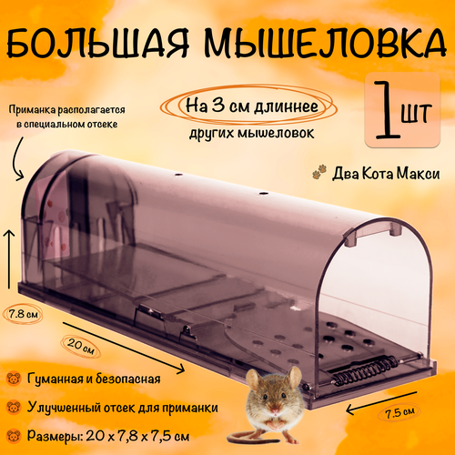 Мышеловка клетка гуманная, большая ловушка для мышей, грызунов, Два Кота, Планета Садовод, Чёрно/Синий, 1 штука черный, серый, черный, синий