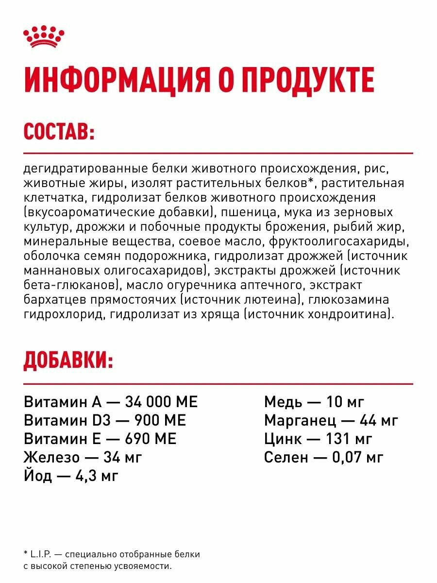 Сухой корм для котят Royal Canin Мейн-кун, профилактика зубного камня 2 кг — фото 1