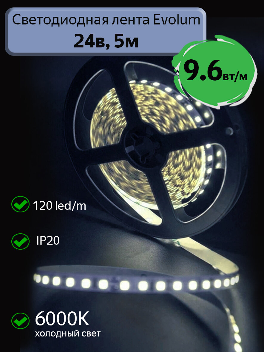 Светодиодная лента Evolum  24В  9 6Вт м  6000К холодный свет  120 led m  IP20  5м