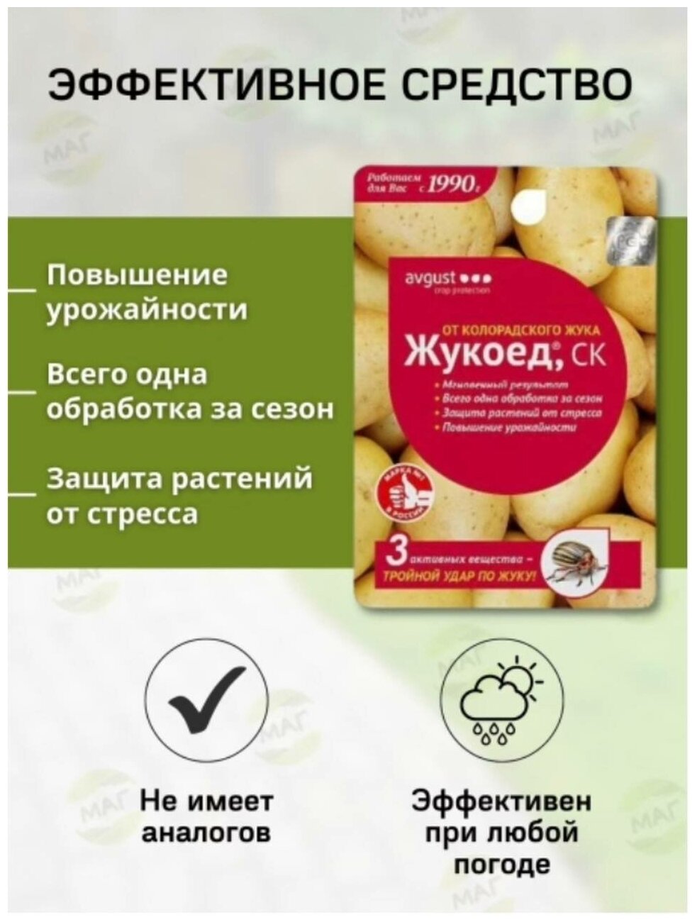 От колорадского жука самое эффективное средство для опрыскивания картофеля