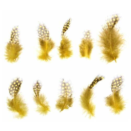 Набор перьев для декора 10 шт, размер 1 шт: 5 × 2 см, цвет жёлтый с коричневым