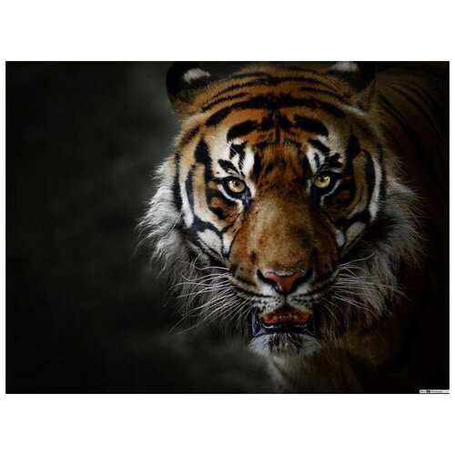 фото Интерьерная картина-обогреватель warmart "грозный тигр" 60х100 см