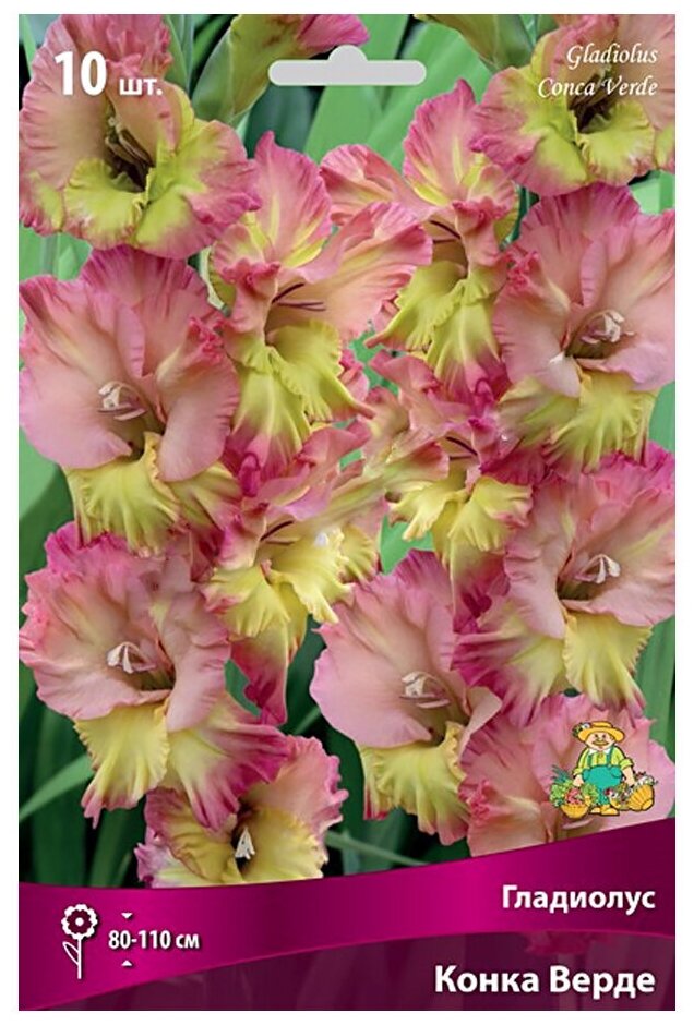 Визуальное представление