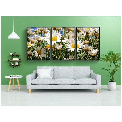 фото Набор модулных постеров для интерьера "маргаритки, цвести, белый желтый" 60x90 см. в тубусе, без рамки lotsprints