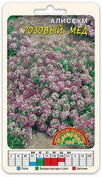 Алиссум Розовый мед 0.05г Одн 25см (Цвет сад)