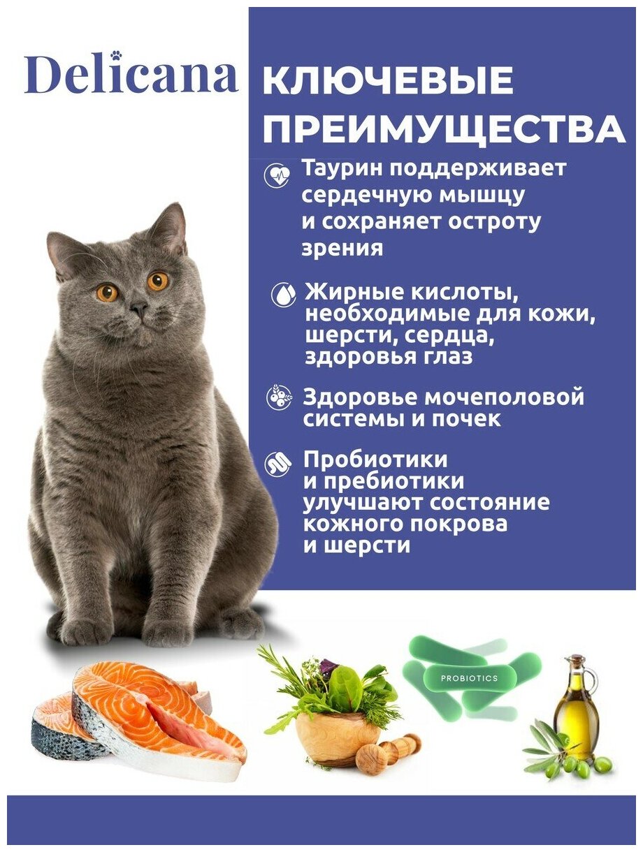 Сухой корм Delicana для стерилизованных кошек и кастрированных котов 1,5 кг - фотография № 14