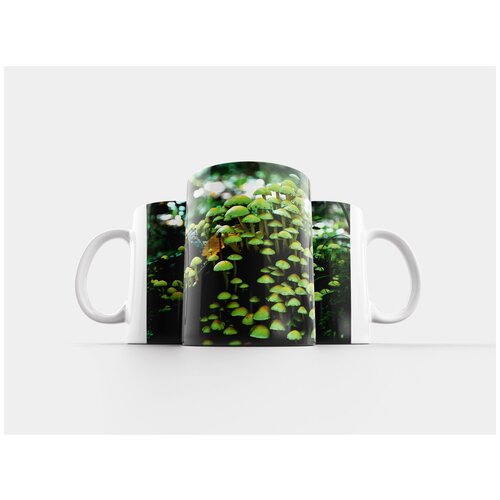 фото Кружка "гриб, осень, природа" 320 мл lotsprints