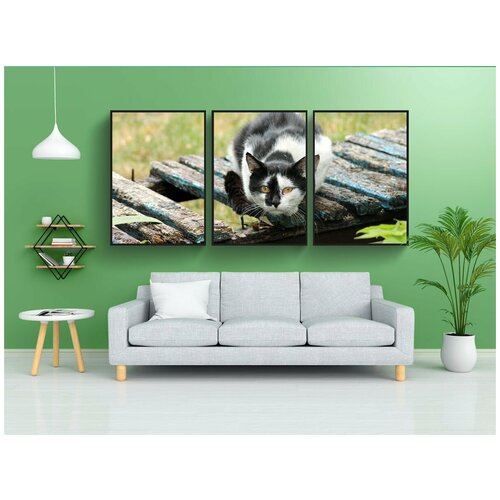 фото Набор модулных постеров для интерьера "кошка, даховец, животное" 60x90 см. в тубусе, без рамки lotsprints