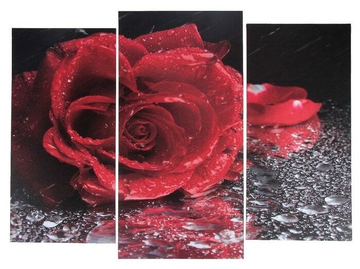 Модульная картина "Роза под дождём" (2-25х52; 1-30х60) 60х80 см