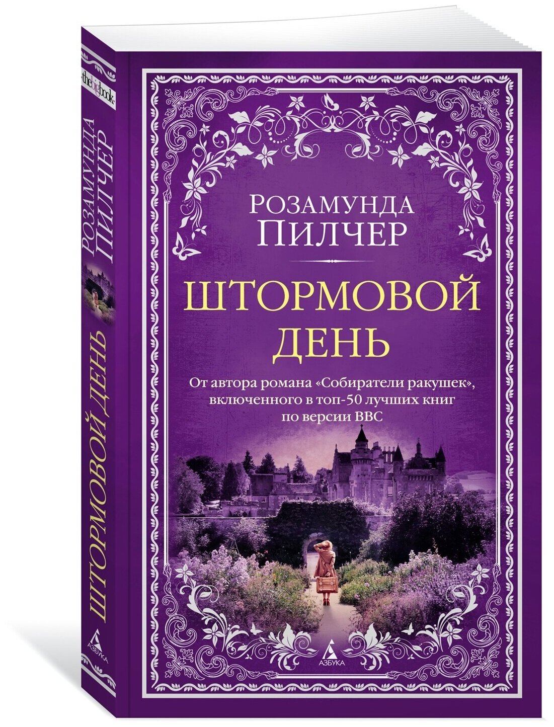 Книга Штормовой день