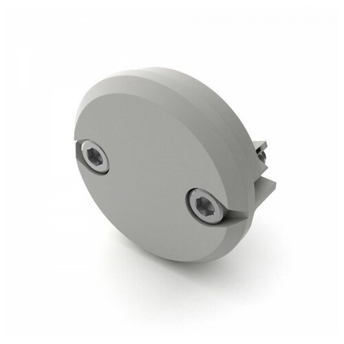 Заглушка ROUND-D30-DUAL глухая (arlight, Пластик) arlight заглушка round d30 глухая arlight пластик 025228