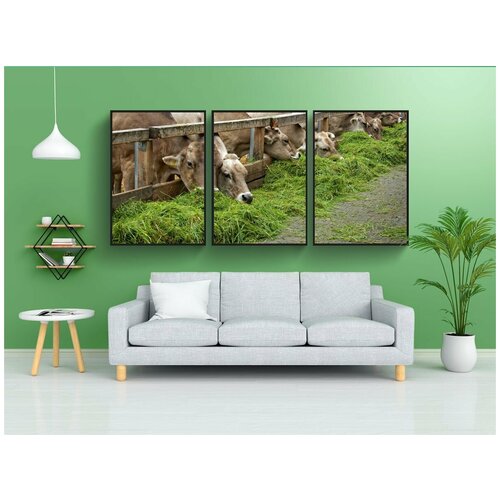 фото Набор модулных постеров для интерьера "еда, волк вниз, трава" 60x90 см. в тубусе, без рамки lotsprints