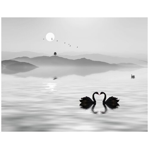 Фотообои Уютная стена Пара лебедей на озере 350х270 см Виниловые Бесшовные (единым полотном)