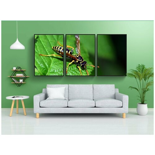 фото Набор модулных постеров для интерьера "оса, лист, насекомое" 60x90 см. в тубусе, без рамки lotsprints