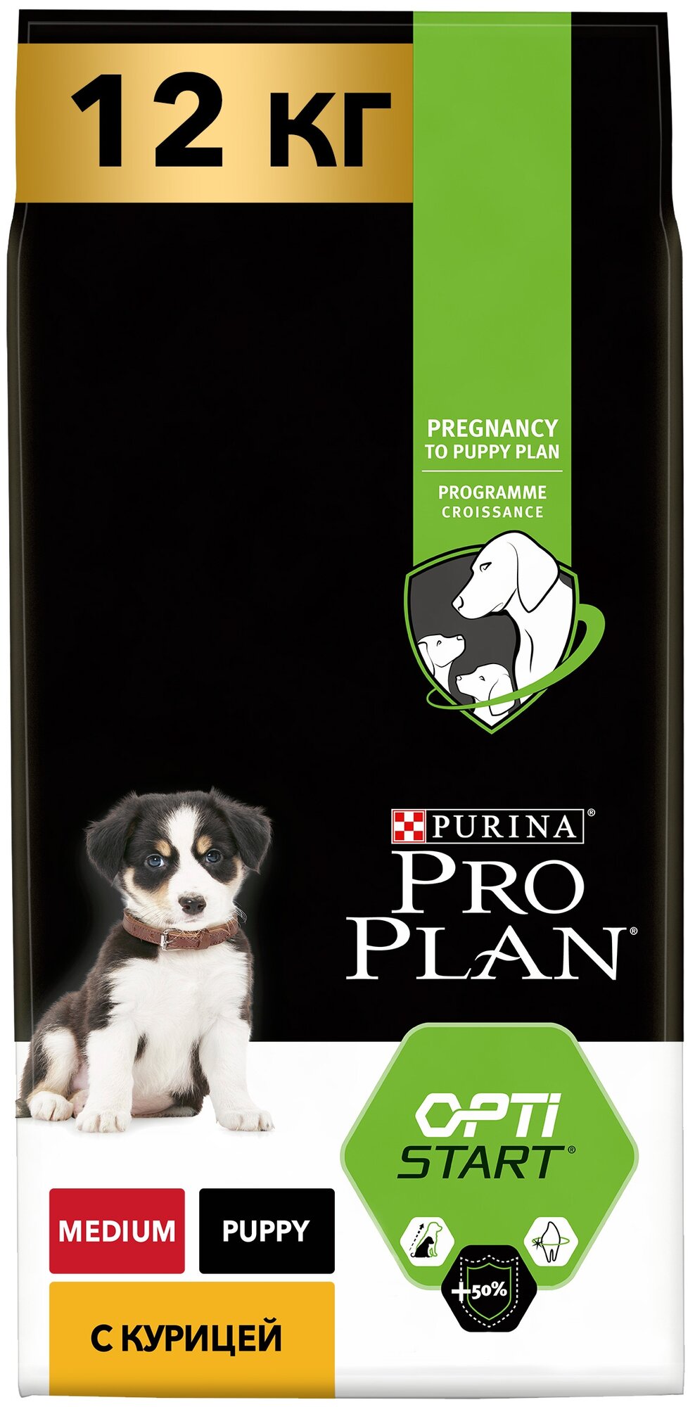   Pro Plan    ,  , 12,  