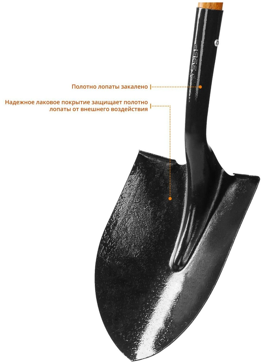 Зубр Лопата Профи-10 штыковая для земляных работ деревянный черенок Проф 4-39529_z01 . - фотография № 8