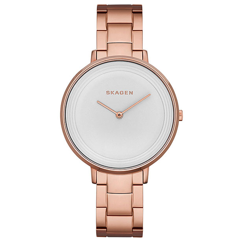 Наручные часы SKAGEN steel