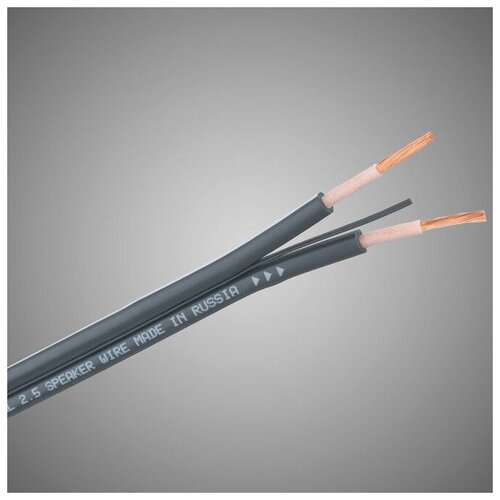 Отрезок акустического кабеля Tchernov Cable (арт. 7324) Special 2.5 Speaker Wire 1.0m