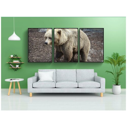 фото Набор модулных постеров для интерьера "нести, тедди, животное" 60x90 см. в тубусе, без рамки lotsprints