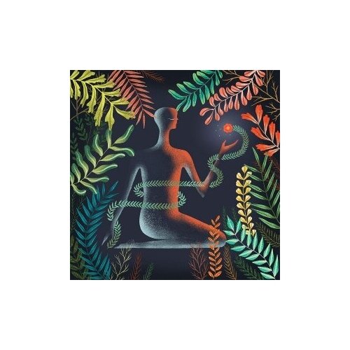 фото Компакт-диски, sub pop, loma - don't shy away (cd)