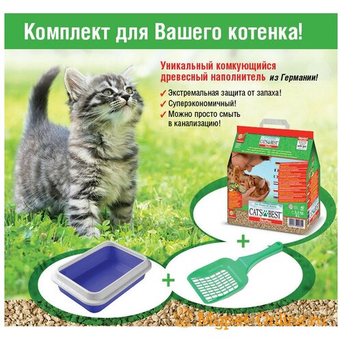 Набор для котенка, лоток, наполнитель Сat Step, совок