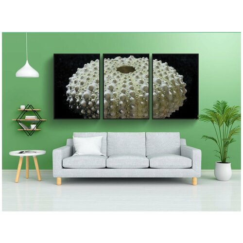 фото Набор модулных постеров для интерьера "морской ёж, закрыть, океан" 60x90 см. в тубусе, без рамки lotsprints