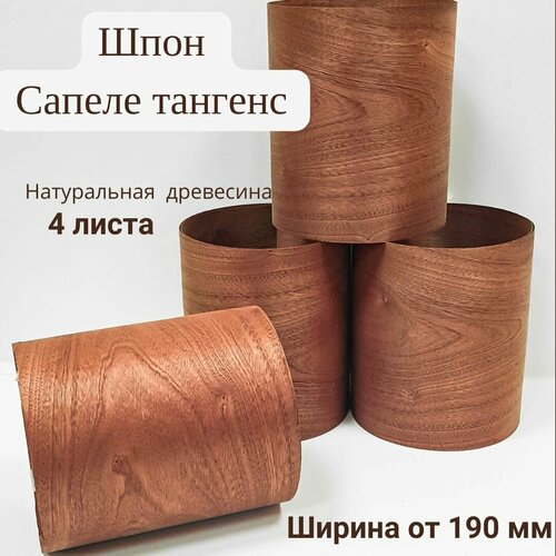 Шпон натуральный Сапеле тангенс, 2900мм, 4 листа, ширина 190мм+