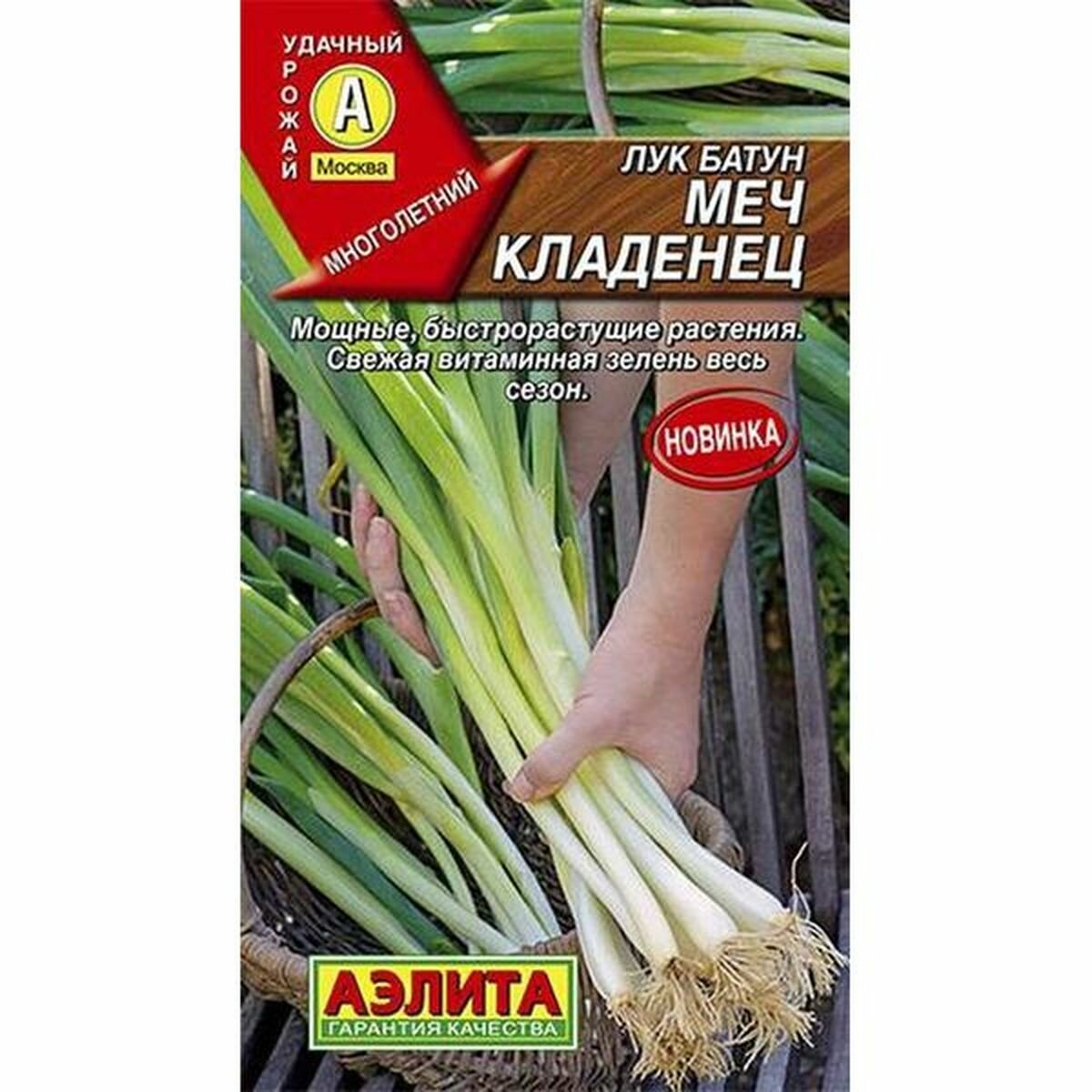 Семена Лук батун Меч Кладенец многолетние среднеспелый (Аэлита) 05г