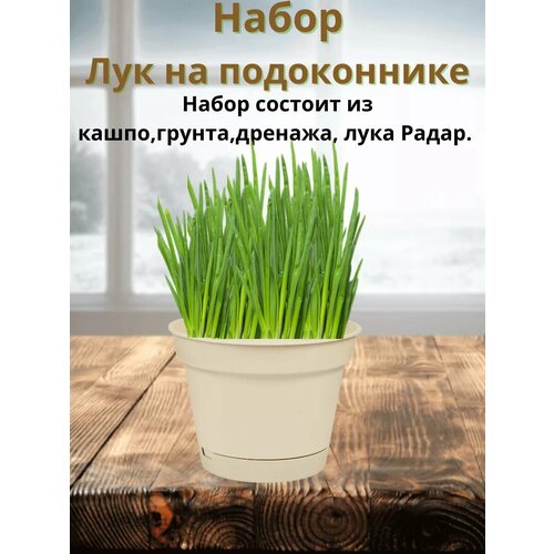 Набор ЛУК На Подоконнике 400₽