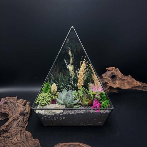 Флорариум с суккулентами от Flolefor Русское поле 15х15х20 см ДхШхВ 5900₽