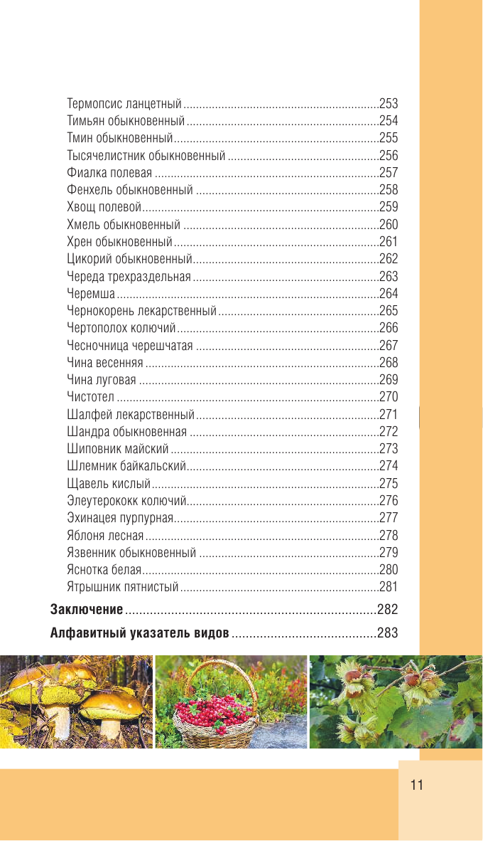 Лесной гид: грибы, ягоды, травы. Карманный атлас-определитель - фото №4