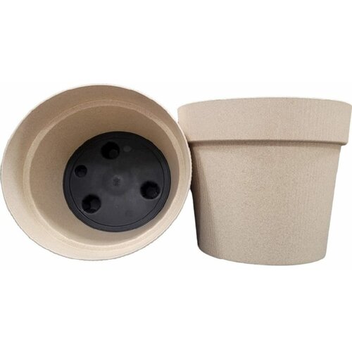 liveingreen Эко Протея слоновая кость д.22,5 н.19,5 5,2л 4656757800538