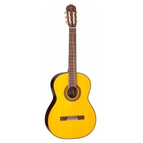 Takamine GC5 NAT