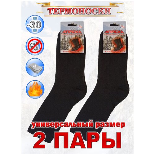 Мужские термоноски аляска 2 пары Универсальный размер