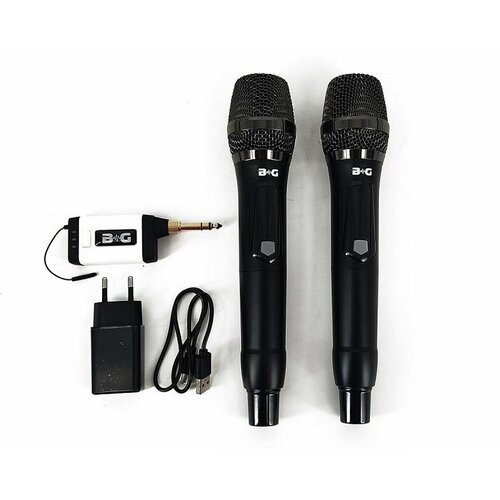 Радиосистема вокальная BG Q2M 1057900₽