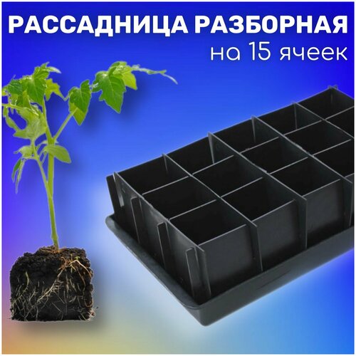 Рассадница разборная, ящик черный для растений, с поддоном на 15 ячеек, 355х185х95мм
