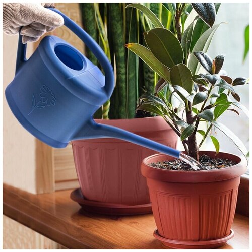 Лейка садовая для полива комнатных цветов, растений огорода и теплицы, в саду, на даче, пластмассовая маленькая 2 литра
